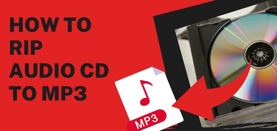Learn how to rip audio CDs to MP3 format using Windows Media Player 11 with our step-by-step tutorial.