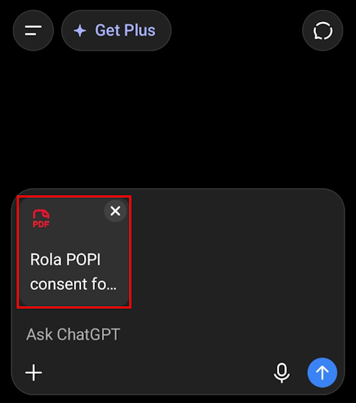 ChatGPT PDF file attached